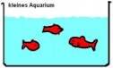 fische Aquarium schema