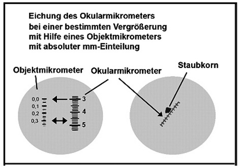 Okular- und Objektiv-mikrometer